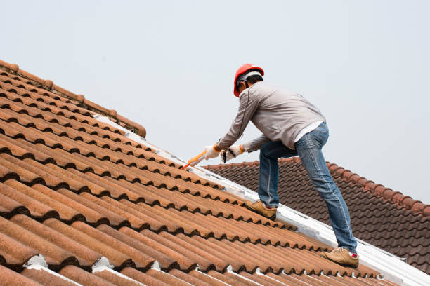 Best Wood Shake Roofing  in Cochran, GA